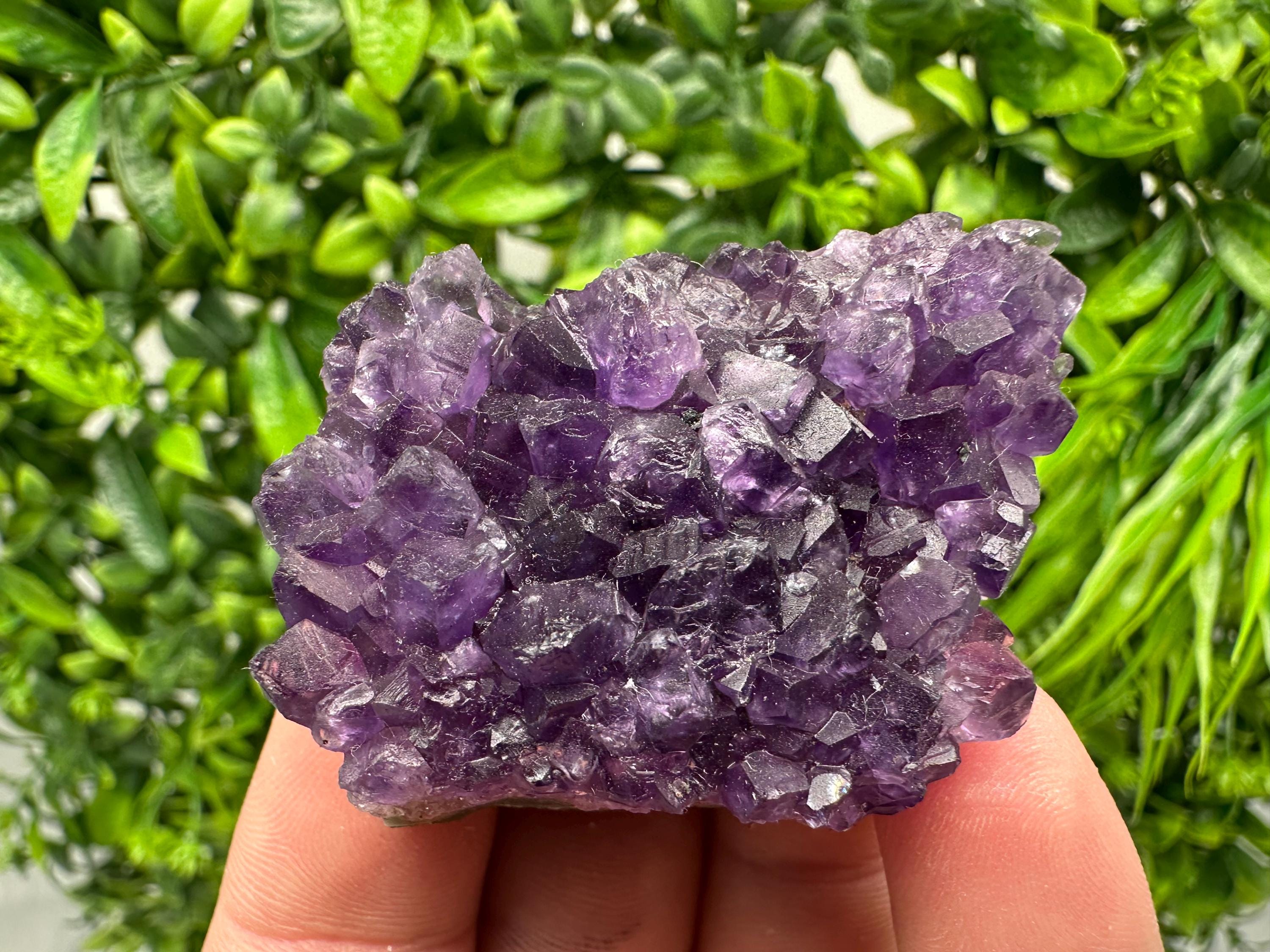 Uruguay Amethyst Cluster: Purple Quartz Crystal, Home Decor