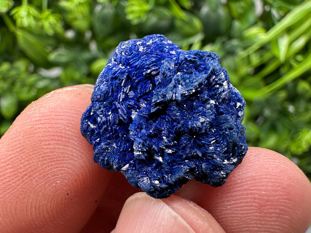 Crystallized Azurite-Kerrouchen,Morocco-Blue Azurite Specimen-High Quality Blue Azurite-Azurite Mineral Specimen, gemmy,lustrous of Azurite