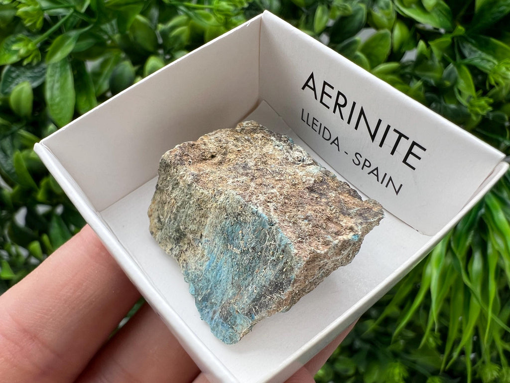 Rare Raw Aerinite Mineral Specimen: Collection Crystal from Lleida, Spain (3/2.5 CM)