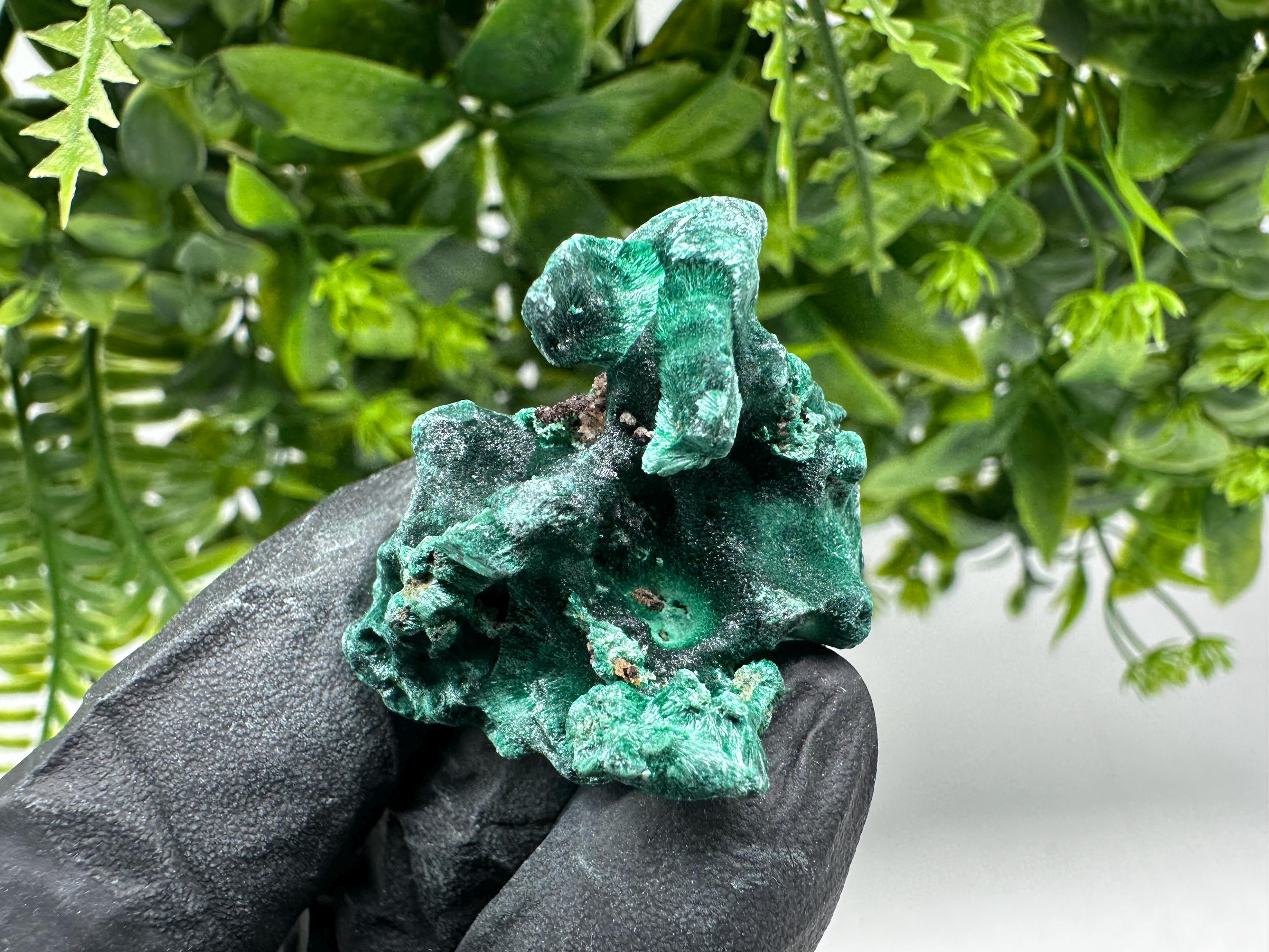 Malachite Crystal from Congo,Minerals,Crystals from Congo,Green Malachite, Malachite,Natural Malachite,Malachite Stone,Chakra, Specimens