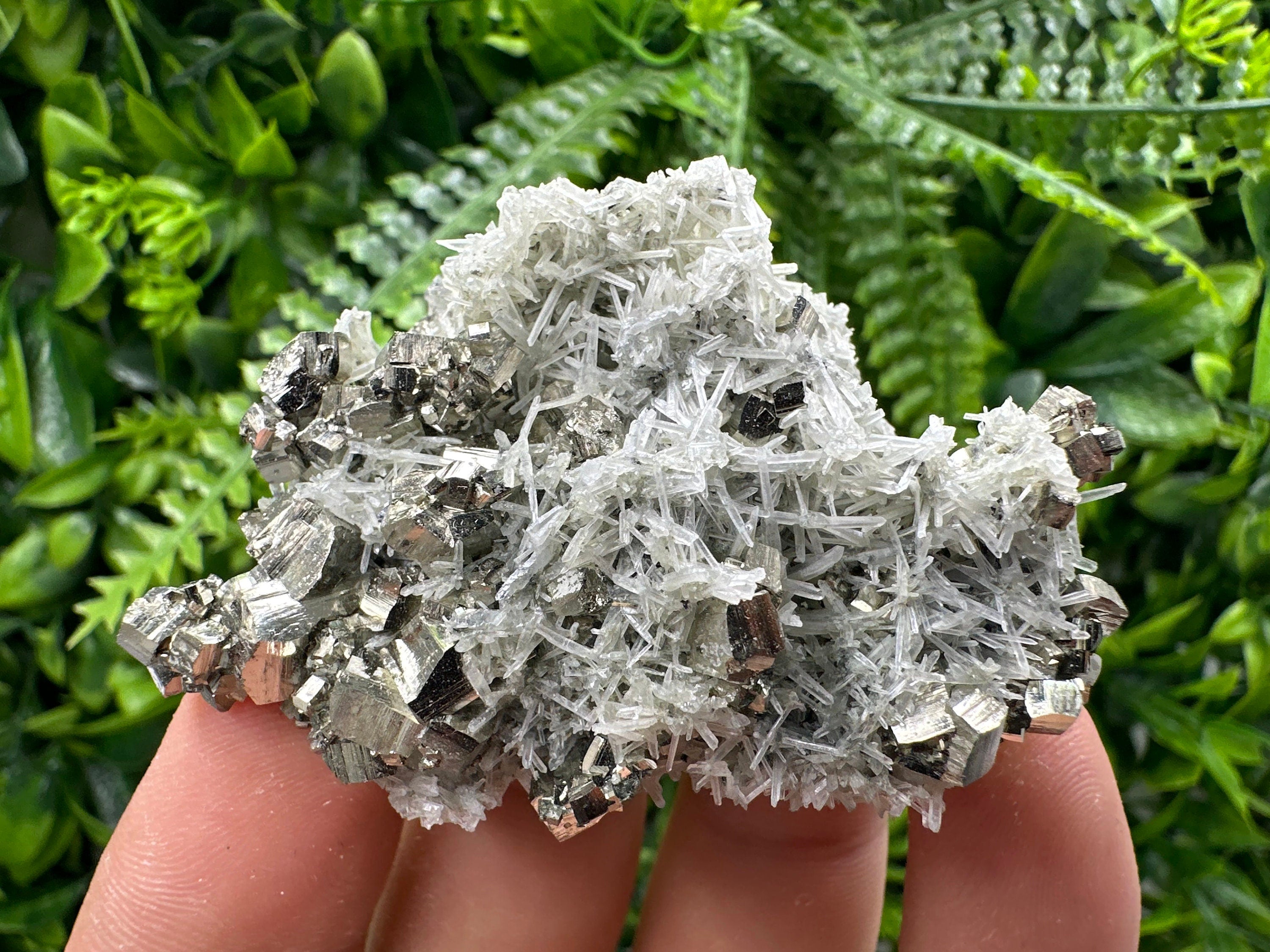 Pyrite on Green Quartz Specimen, Borieva Mine, Bulgaria