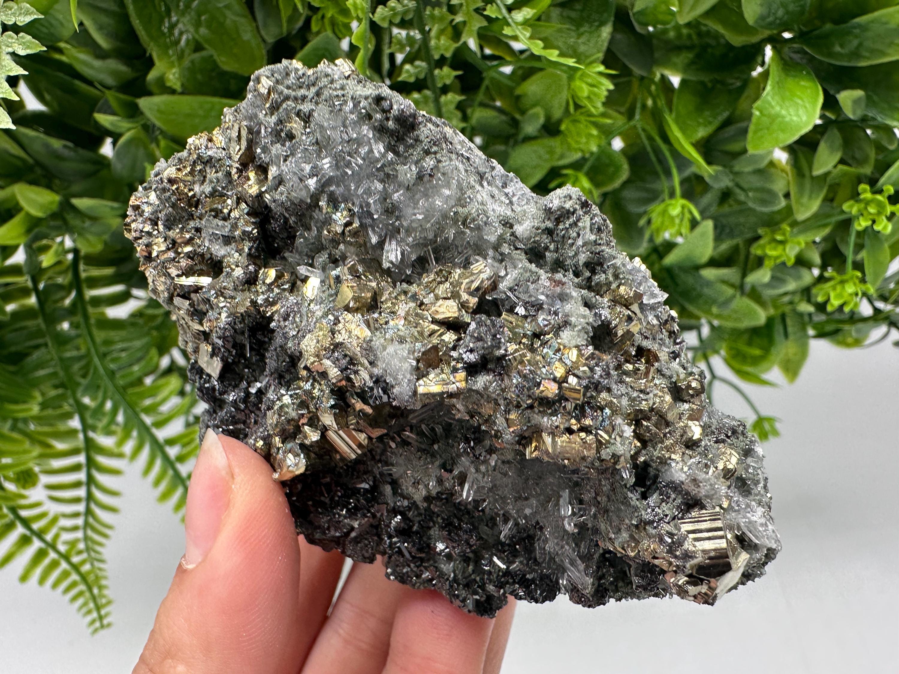Pyrite on Green Quartz: Rare Mineral Specimen, Borieva Mine