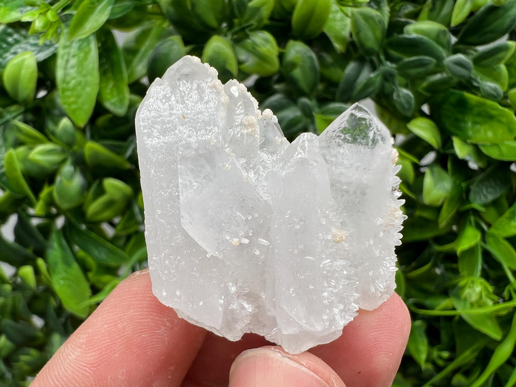 Quartz with Pyrite, Krushev dol Mine, Bulgaria, Crystal Decor Stone