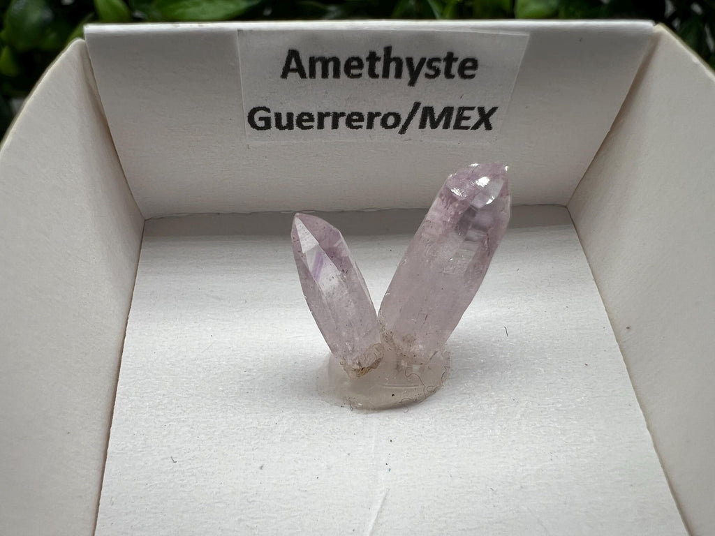 Mexican Amethyst Specimen: Crystal Collector Mineral (20mm)
