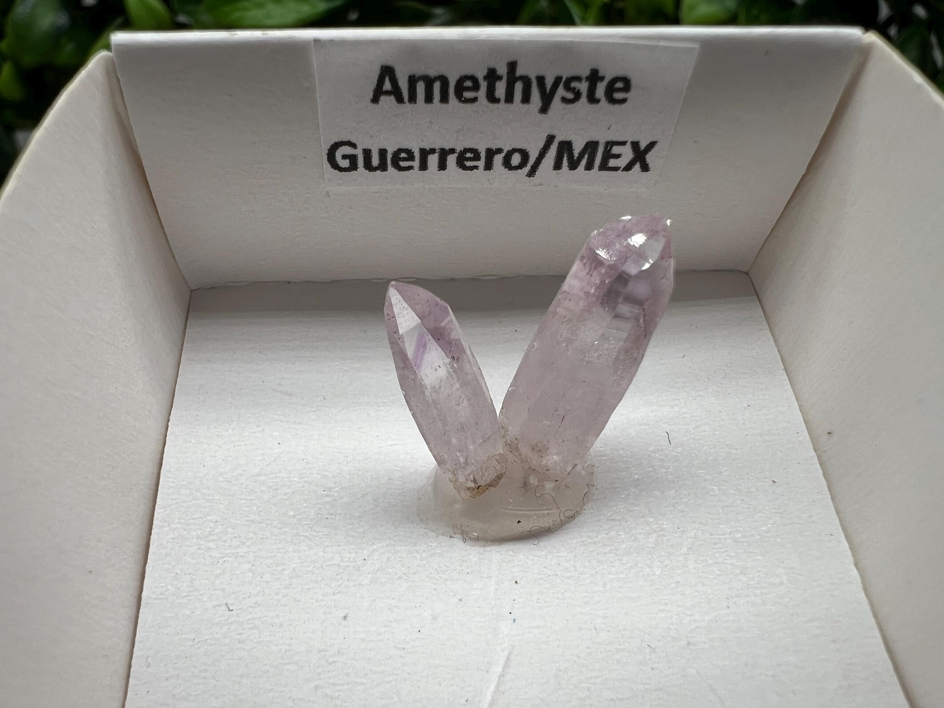 Mexican Amethyst Specimen: Crystal Collector Mineral (20mm)