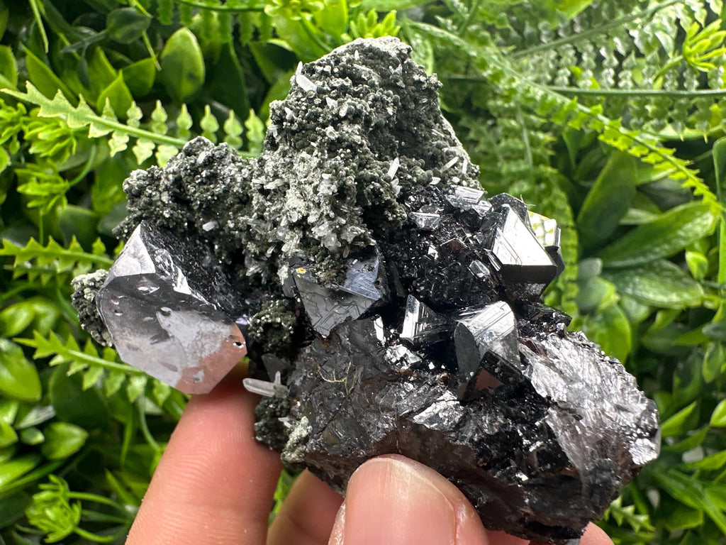 Galena with Black Sphalerite: Natural Minerals Souvenir, Borieva Bulgaria