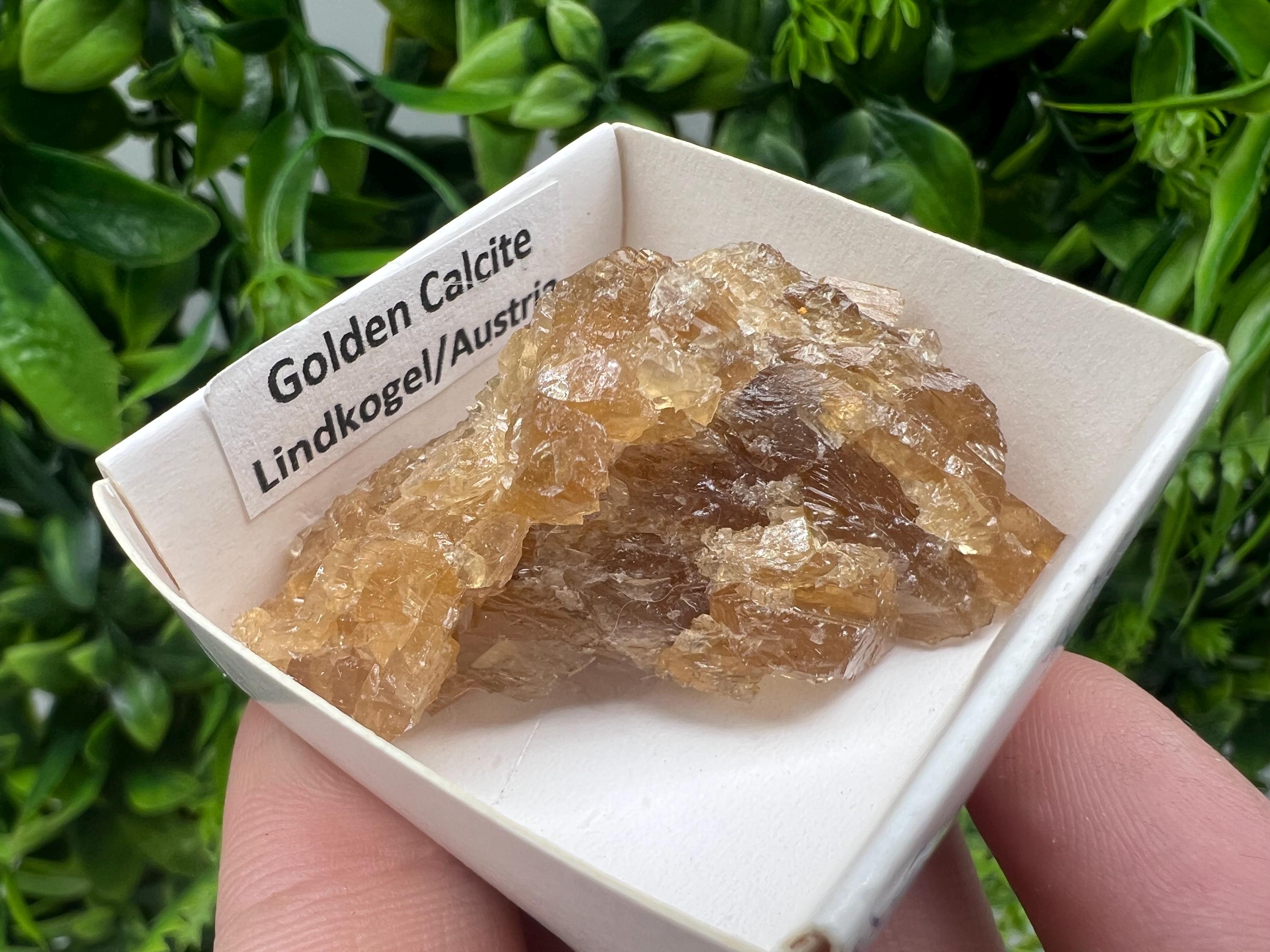 Raw Honey Calcite Stone: Rough Golden Crystal (5/3.5 cm