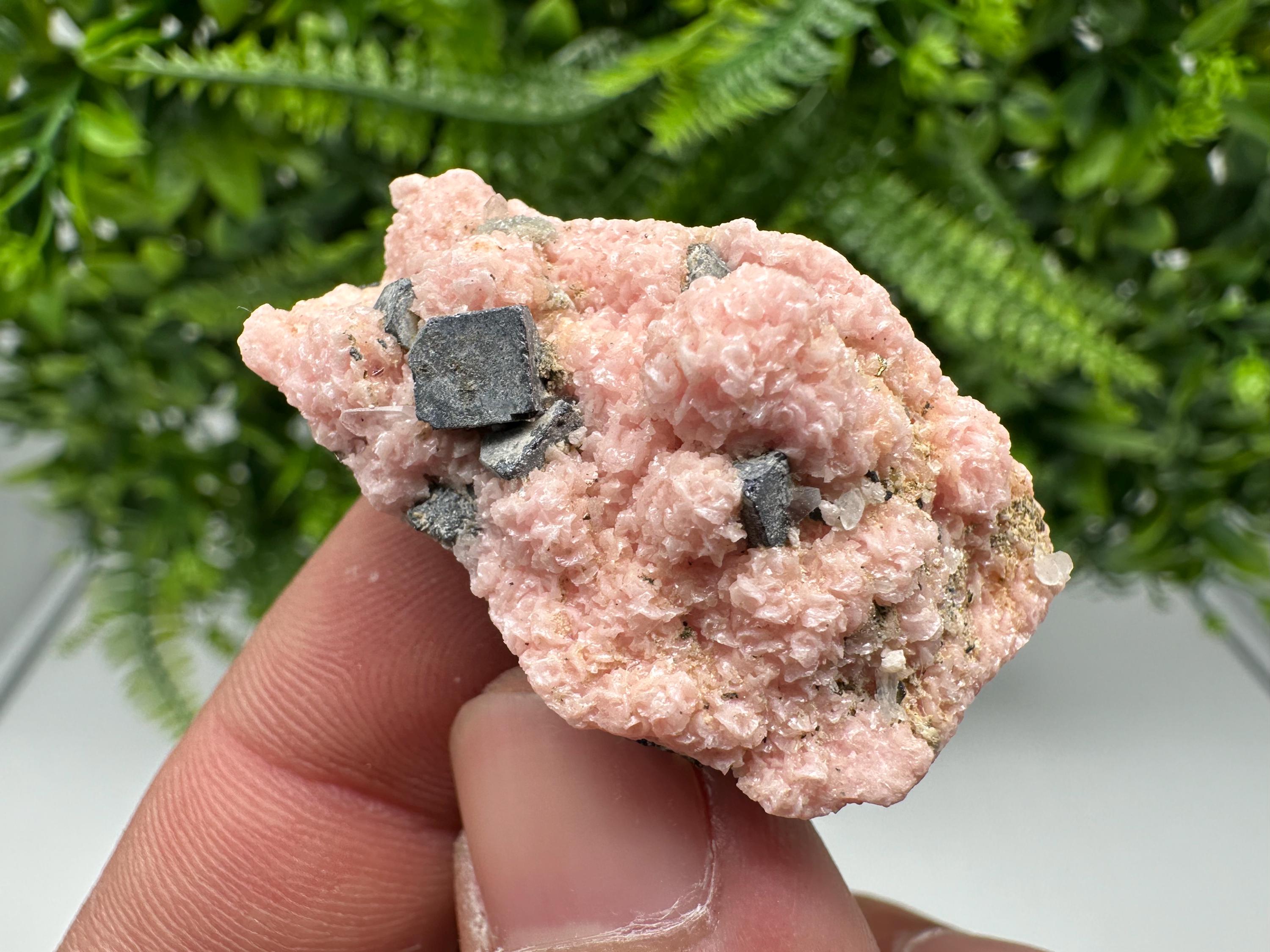 Rhodochrosite on Quartz: Pink Crystal Home Decor, Bulgaria Mineral Souvenir