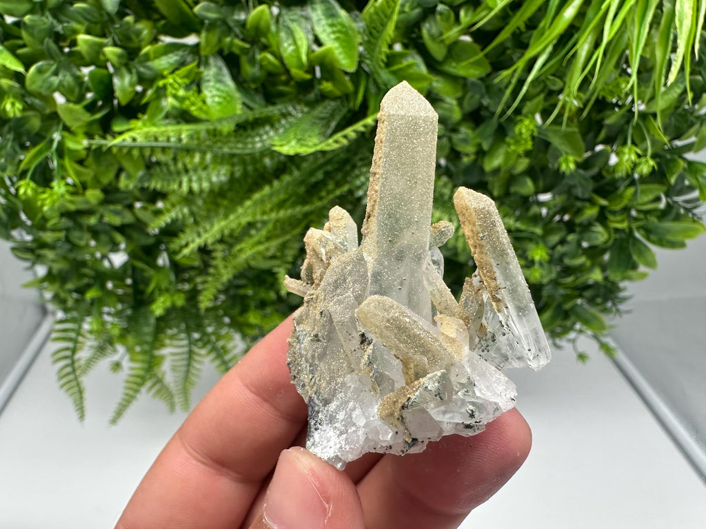 Quartz whit Brown Rhodochrosite from Djurcovo mine,Bulgaria,Quartz,Rhodochrosite cluster,natural mineral,collection crystal,mineral specimen