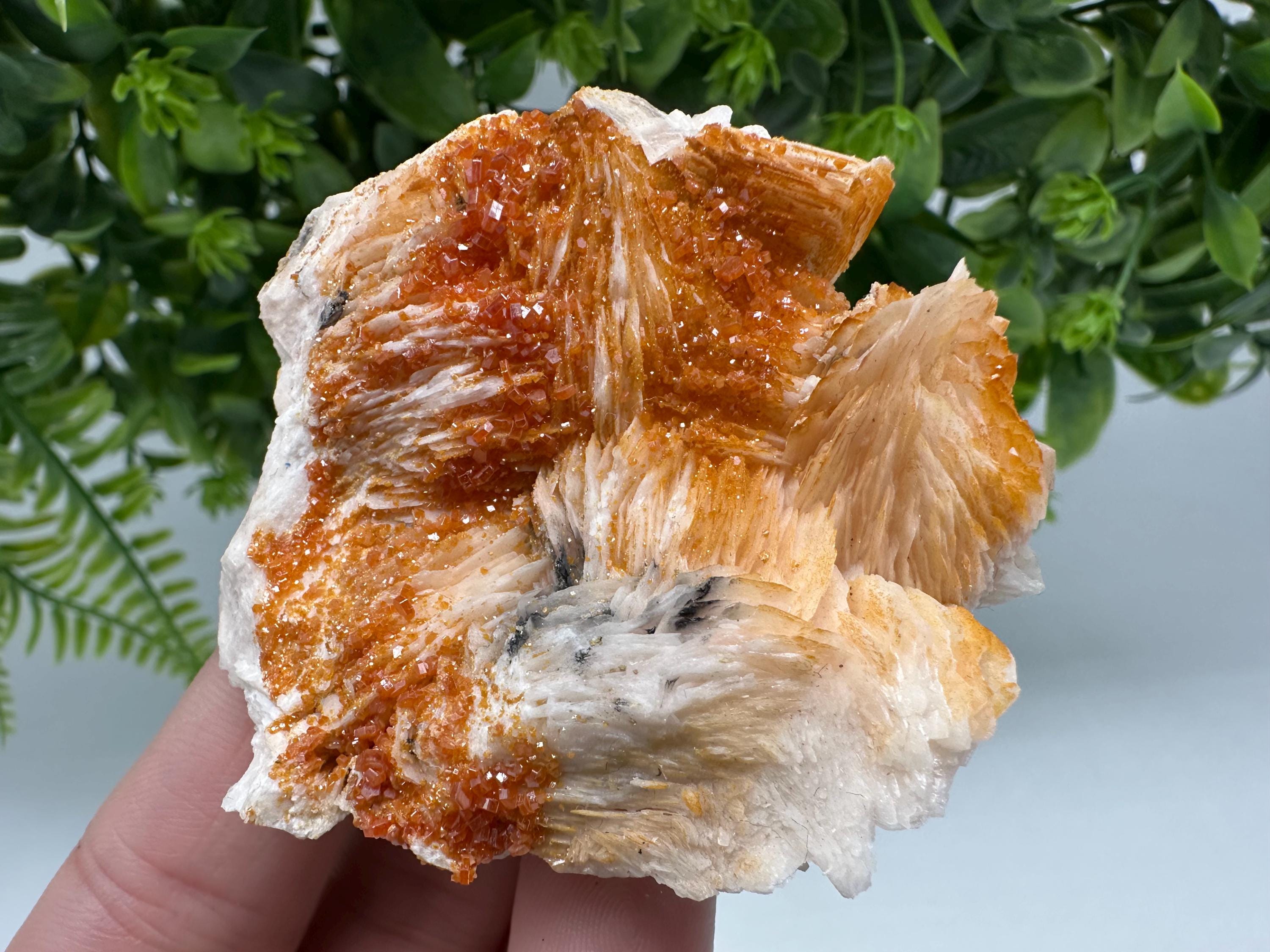 Red Vanadinite on Barite Crystal Specimen, Moroccan Mineral Cluster