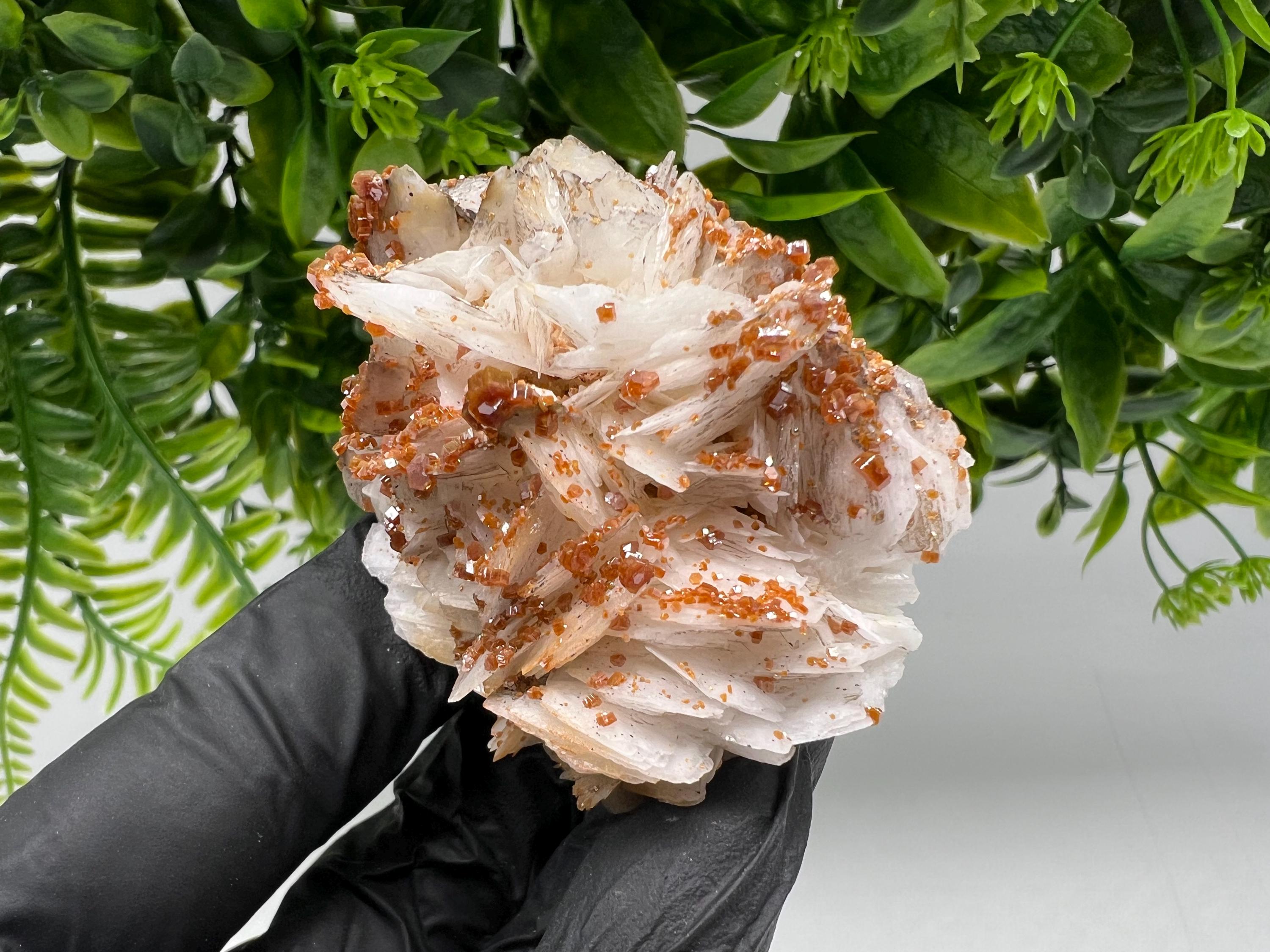 Red Vanadinite on Barite from Marocco,crystal minerals Speciment cluster Vanadinite crystal Vanadinite Geology Vanadinite cluster minerals