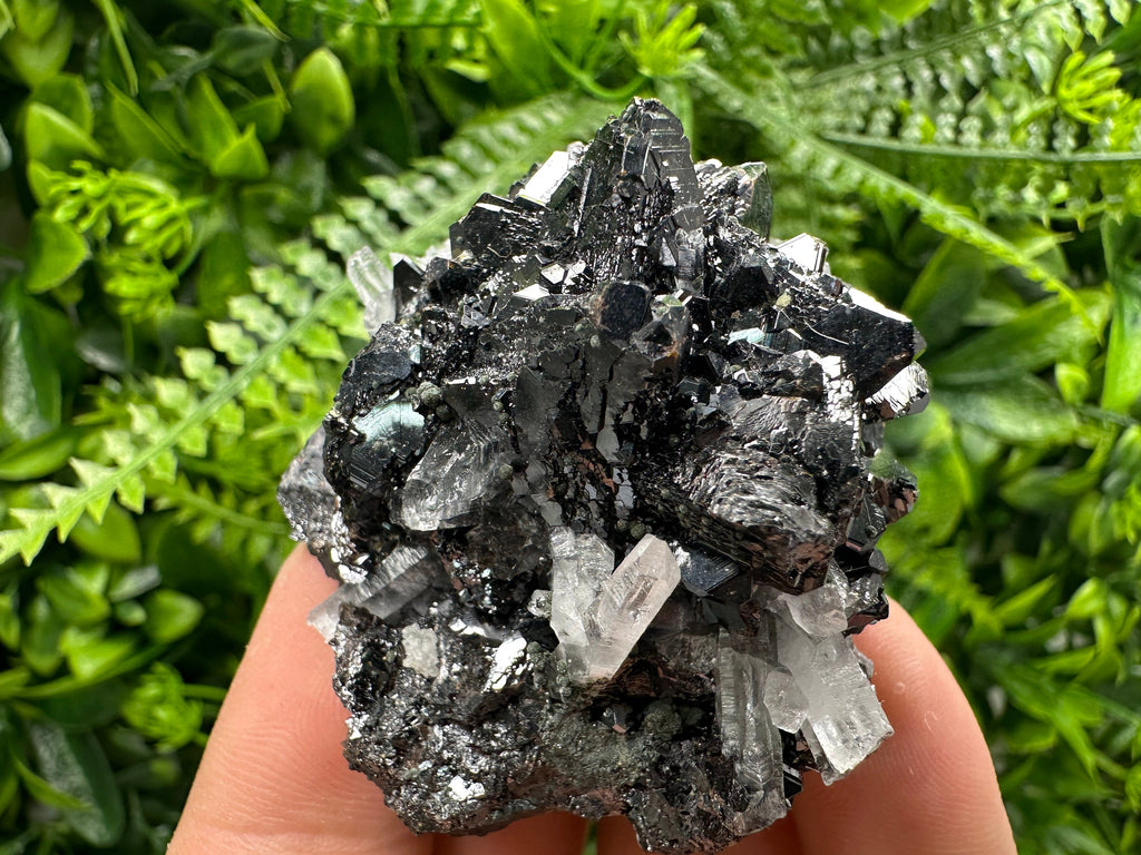 Borieva Sphalerite on Quartz: Rare Mineral Cluster