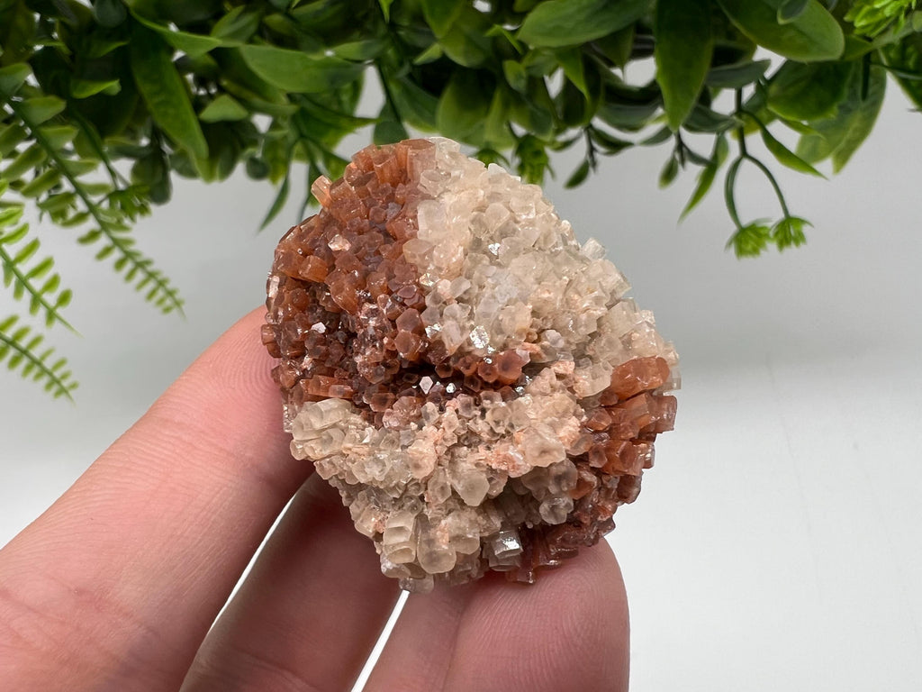 Extra Large Aragonite Sputnik Cluster: Moroccan Raw Crystal Stone