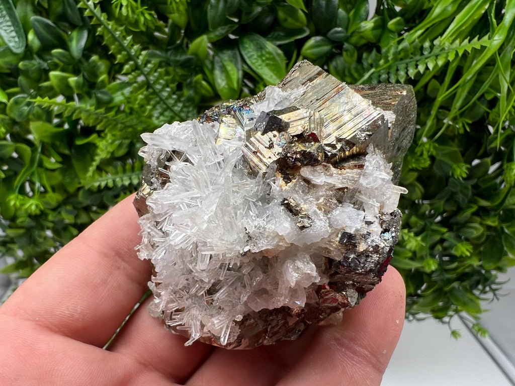 Rare Pyrite on Quartz Crystal: Borieva Mine, Bulgaria
