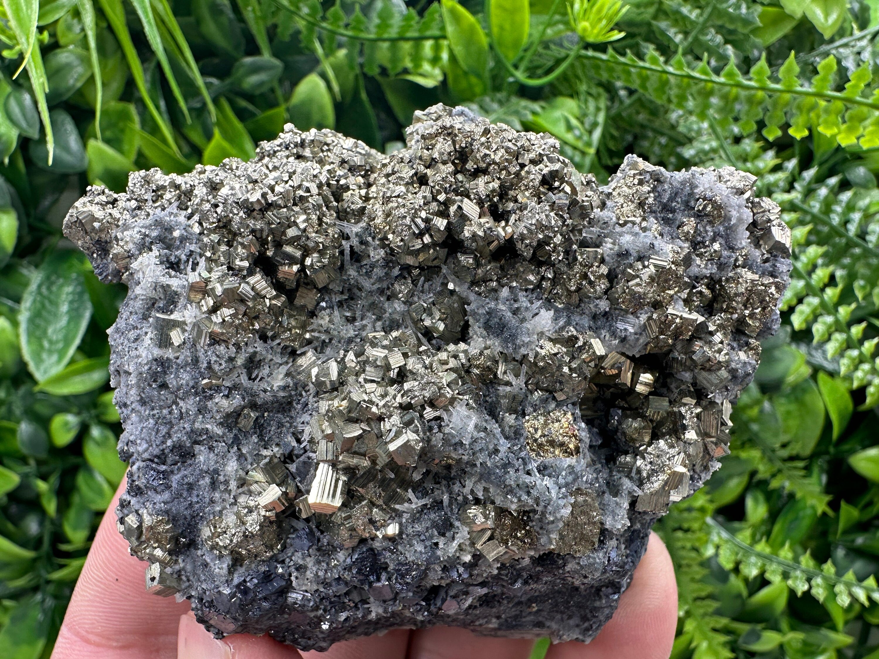 Pyrite on Quartz: Borieva Mine Crystal Decor (9/7/4.5cm)