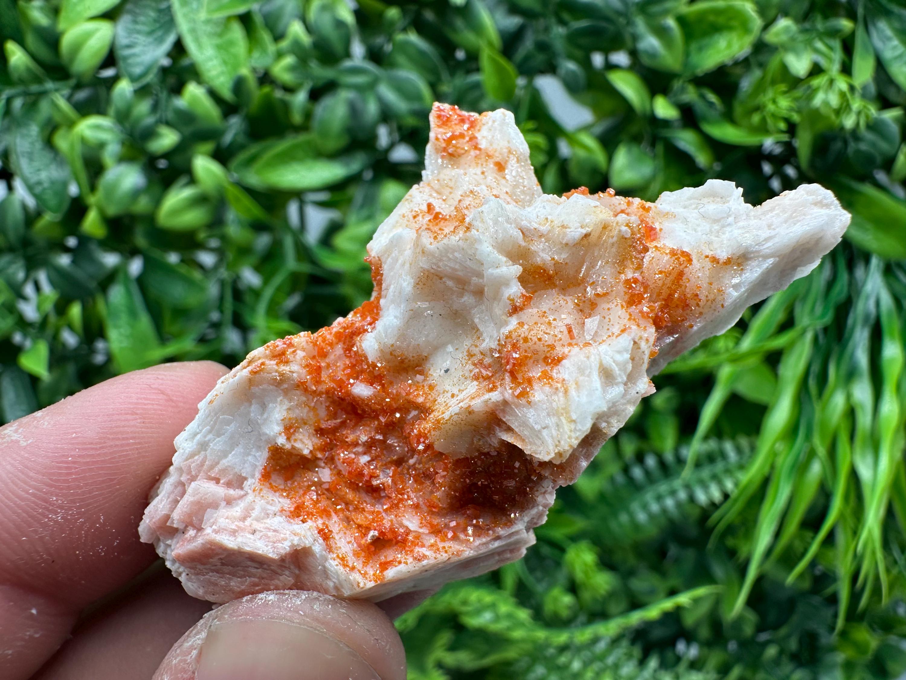 Red Vanadinite on Barite, Moroccan Crystal Cluster