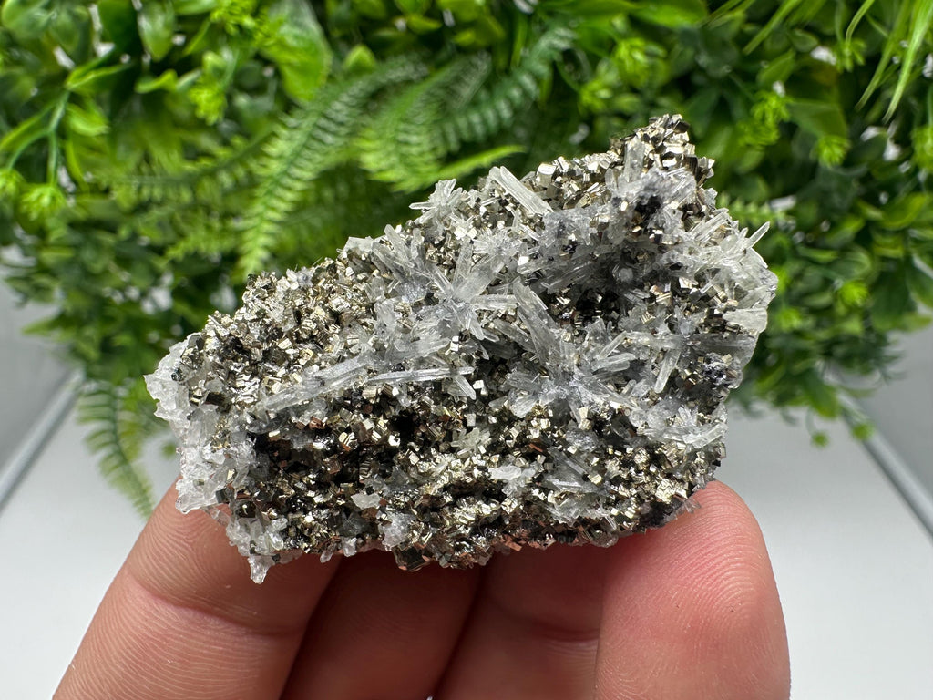 Pyrite on Green Quartz Mineral Specimen, Borieva Mine Bulgaria