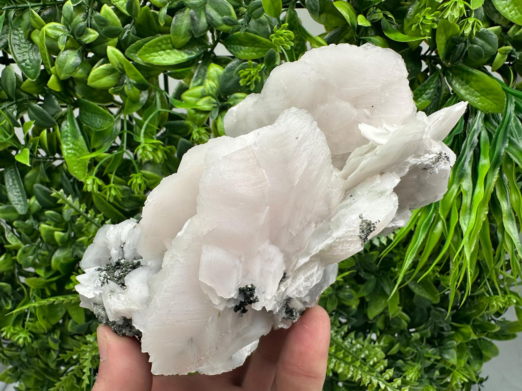 Mangano Calcite Wings on Chlorite Matrix, Bulgaria Mineral Specimen