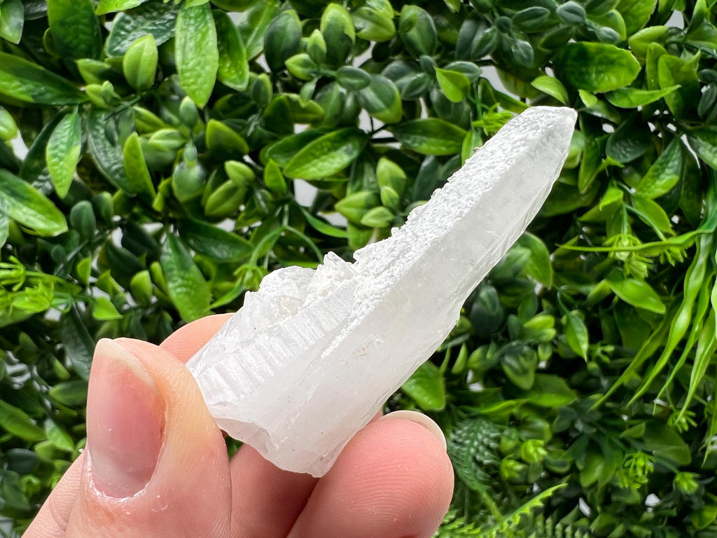 Transparent Quartz with Pyrite, Krushev Dol Mine Crystal, Bulgaria