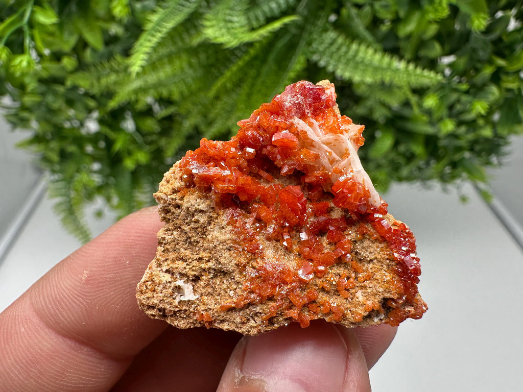 Red Vanadinite on Barite from Marocco,crystal minerals Speciment cluster Vanadinite crystal Vanadinite Geology Vanadinite cluster minerals