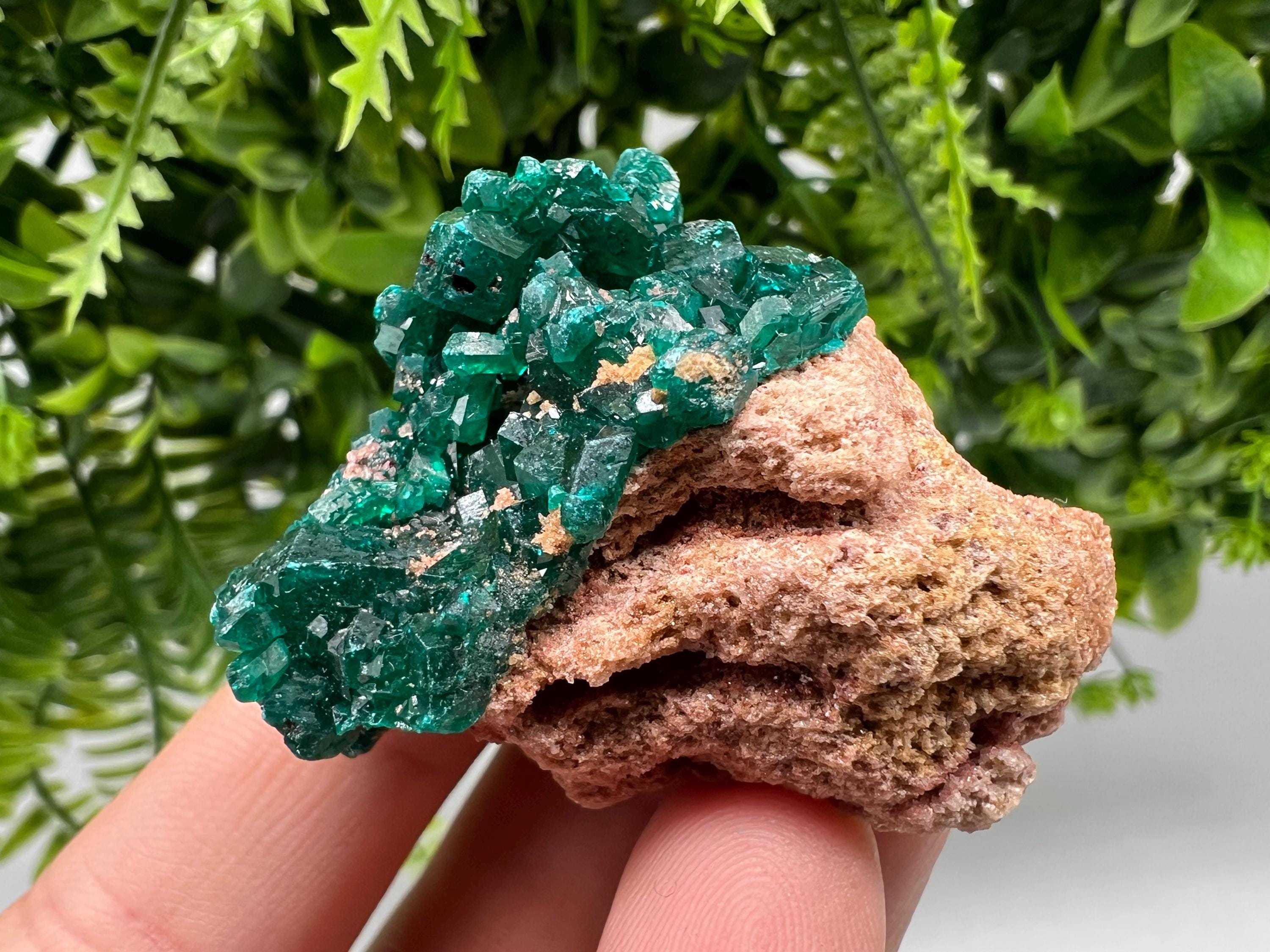 Stunning Green Dioptase from Sanda Hills,Mindouli,Pool Department,Mindouli District,Congo,green Dioptase,Dioptas Crystal,Dioptase collecting