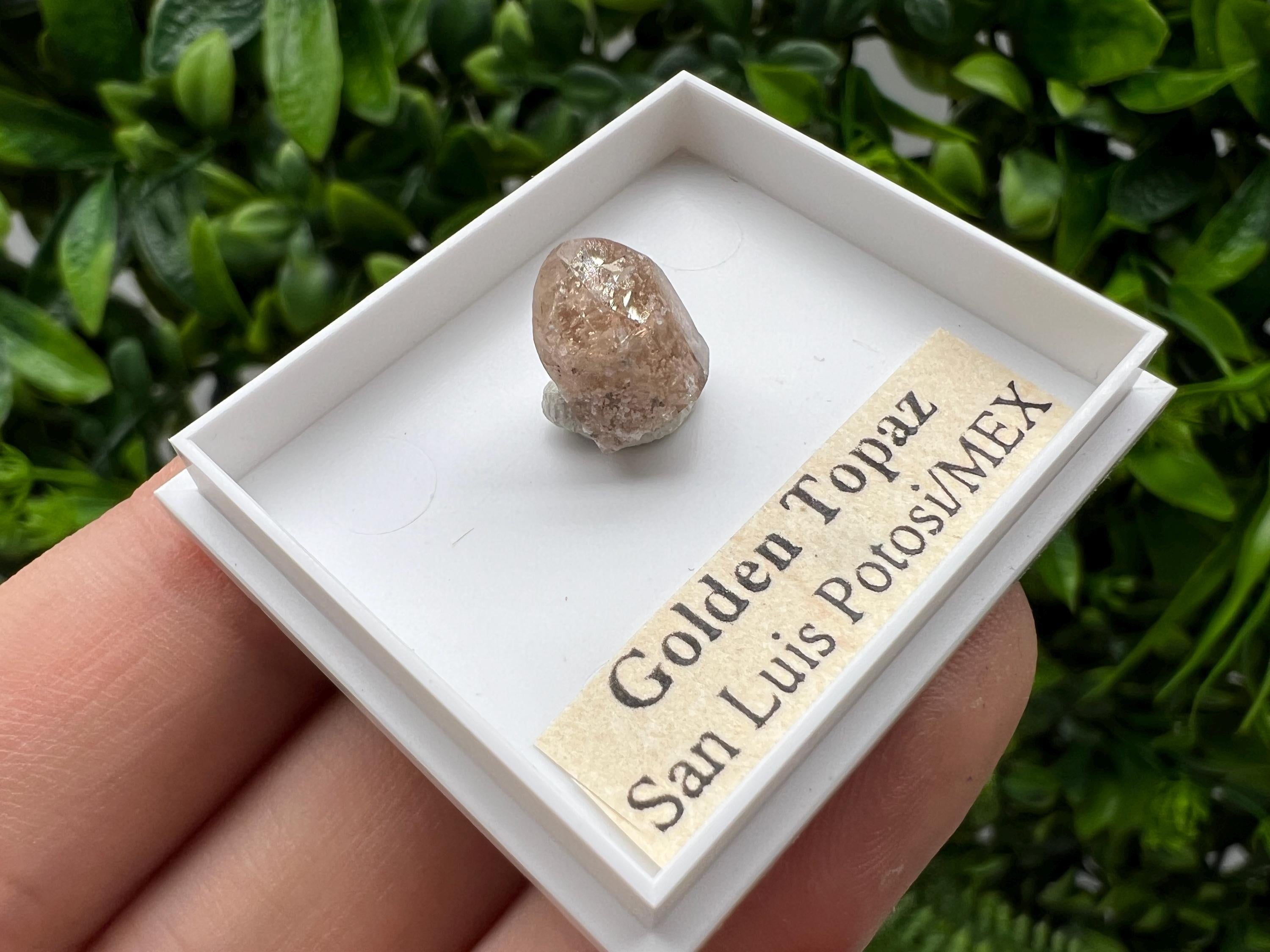 Beautiful Golden Topaz from Mexico,collection piece Crystal,Mineral,collectibles,Collectors, Natural Crystal, Minerals from Mexico,original,