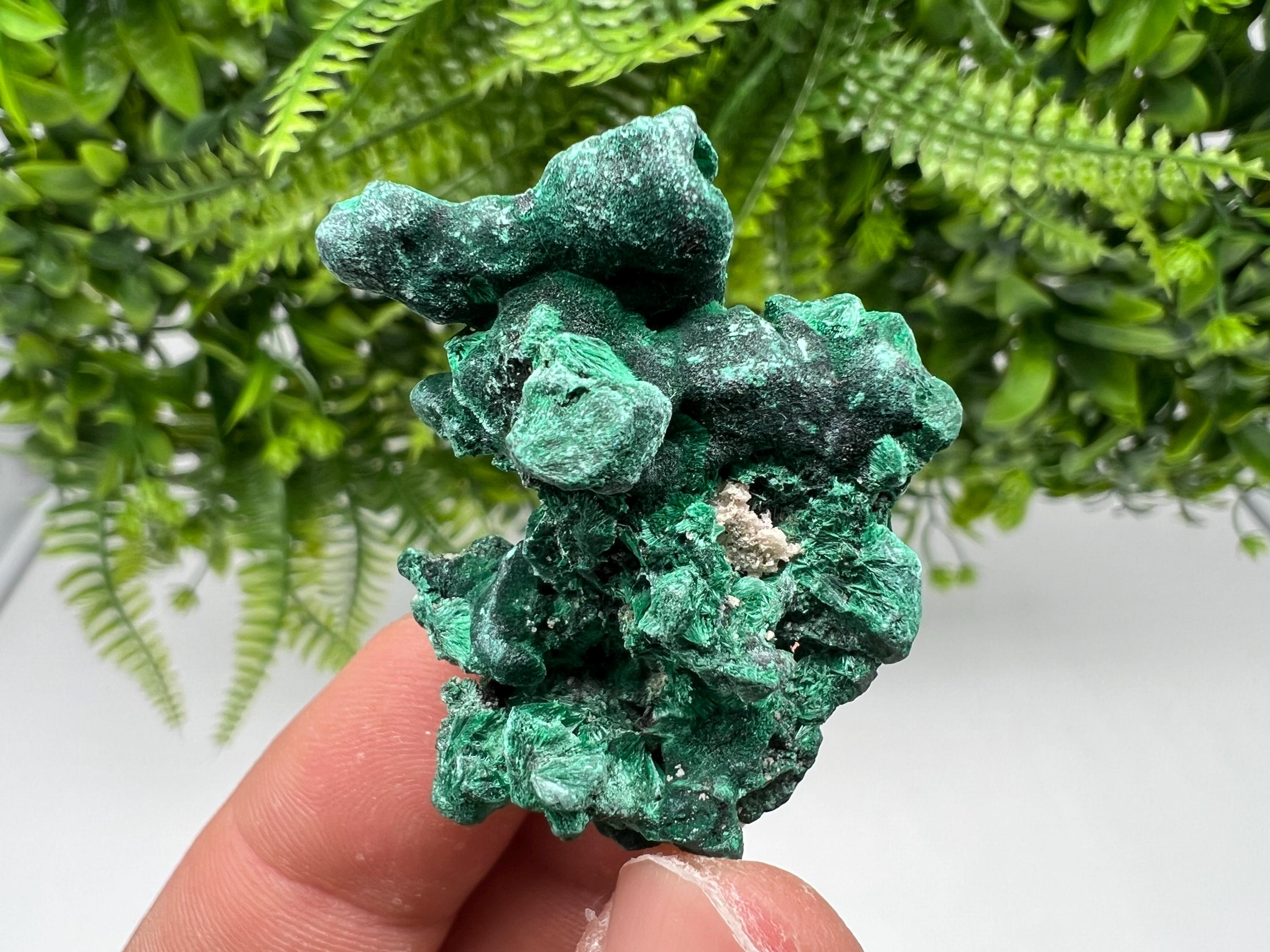 Malachite Crystal from Congo,Minerals,Crystals from Congo,Green Malachite, Malachite,Natural Malachite,Malachite Stone,Chakra, Specimens