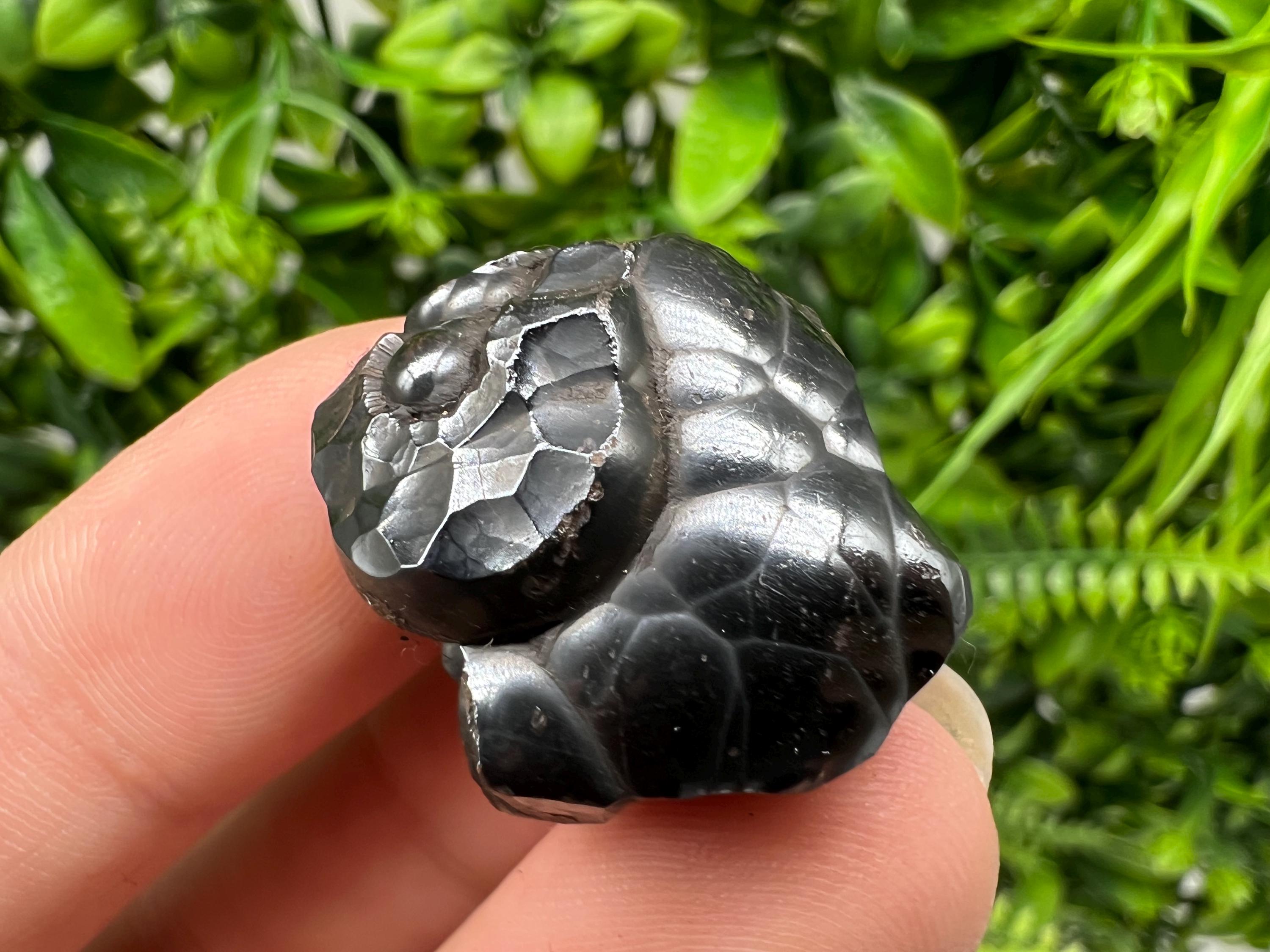 Botryoidal Black Hematite Specimen: Moroccan Crystal, Chakra Reiki