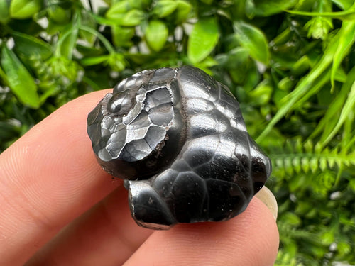 Botryoidal Black Hematite Specimen: Moroccan Crystal, Chakra Reiki