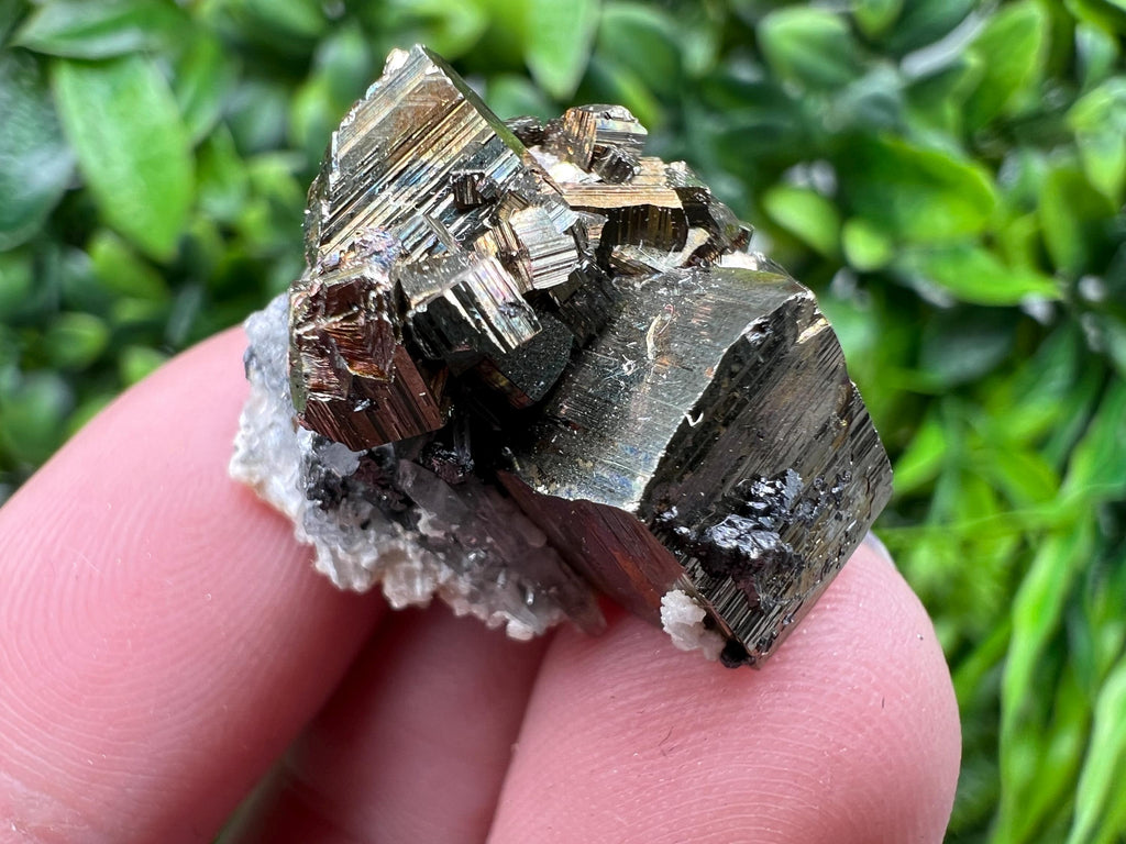 Rainbow Pyrite with Calcite, Borieva Bulgaria, Crystal Mineral Souvenir
