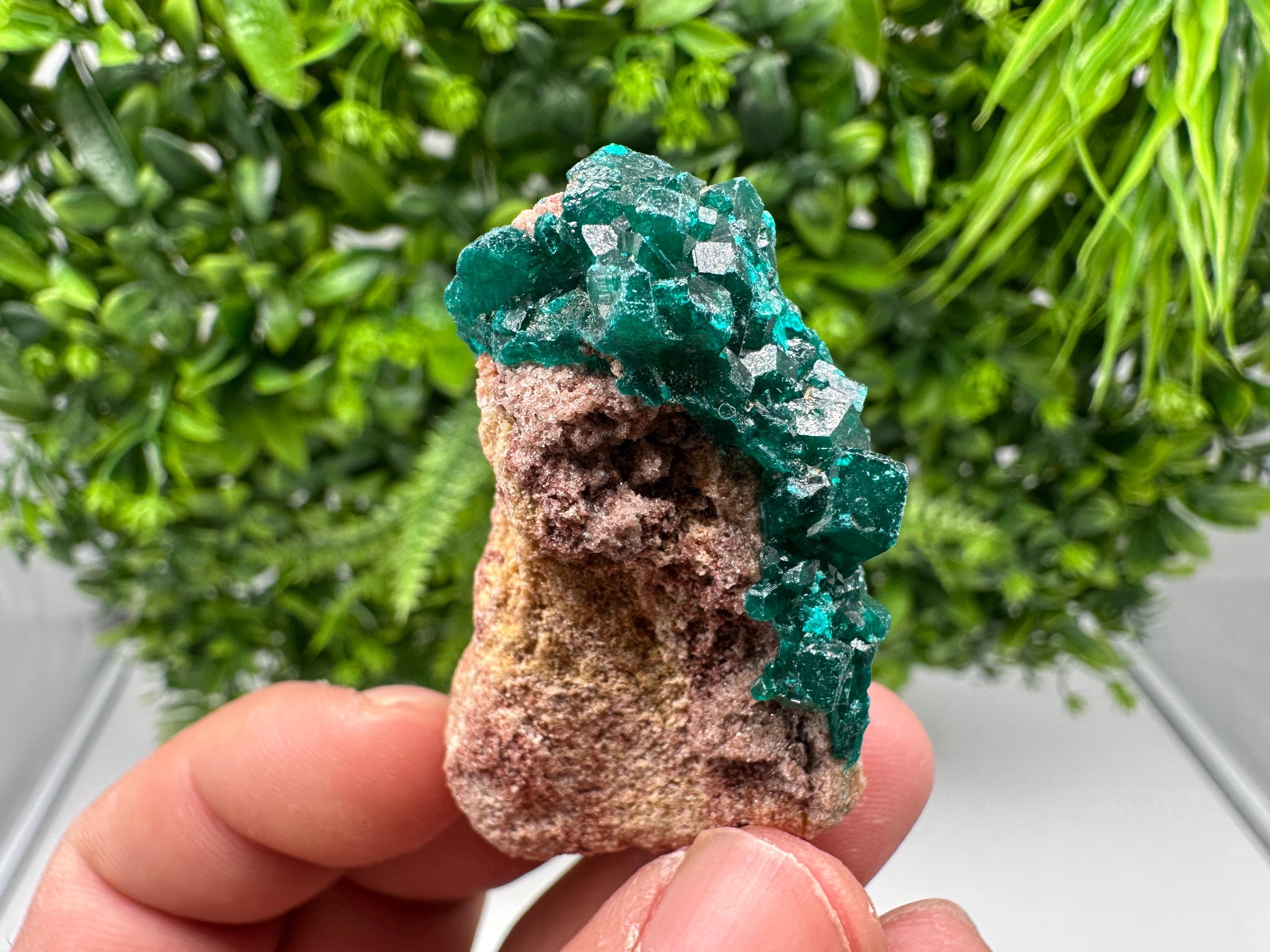 Stunning Green Dioptase from Sanda Hills,Mindouli,Pool Department,Mindouli District,Congo,green Dioptase,Dioptas Crystal,Dioptase collecting