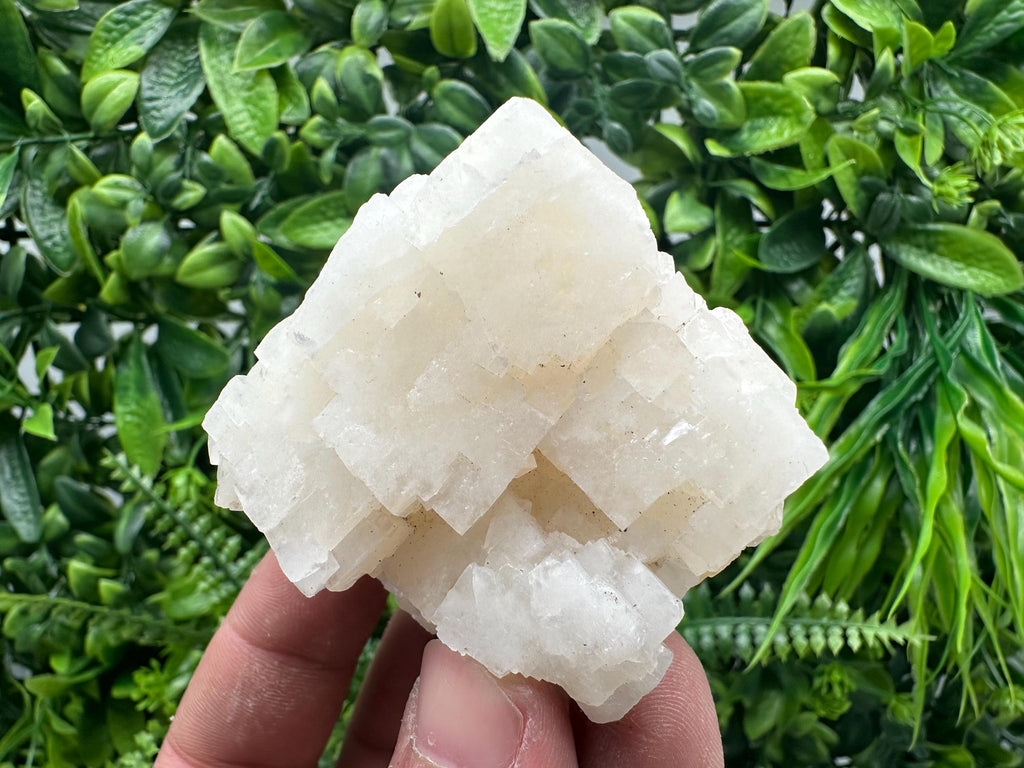Apophyllite on Chalcedony Specimen, India Minerals