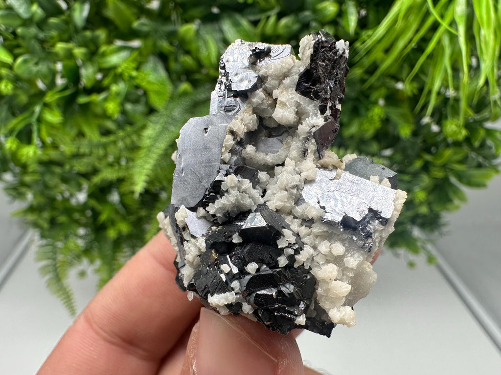 Skeletal Galena with Siderite & Sphalerite - Krushev dol Mine, Bulgaria