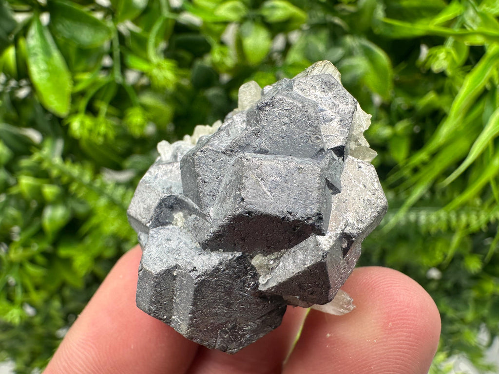 Galena on Pyrite Mineral Specimen, Borieva Mine, Bulgaria