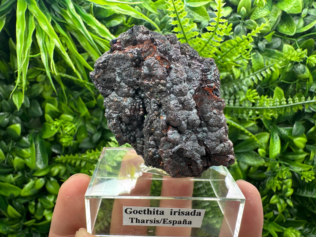 Iridescent Goethite Cluster, Spanish Mineral Specimen