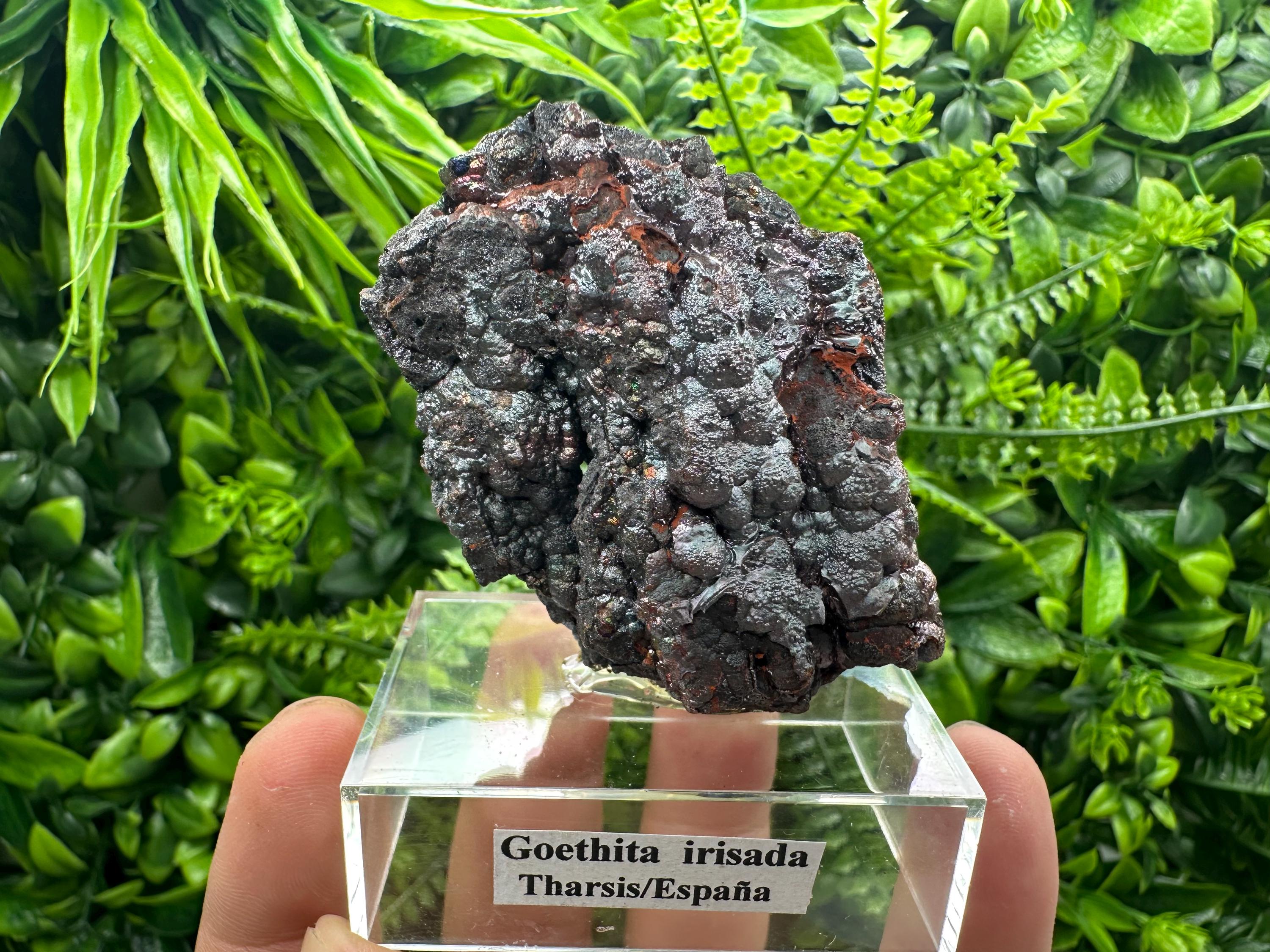 Iridescent Goethite Cluster, Spanish Mineral Specimen
