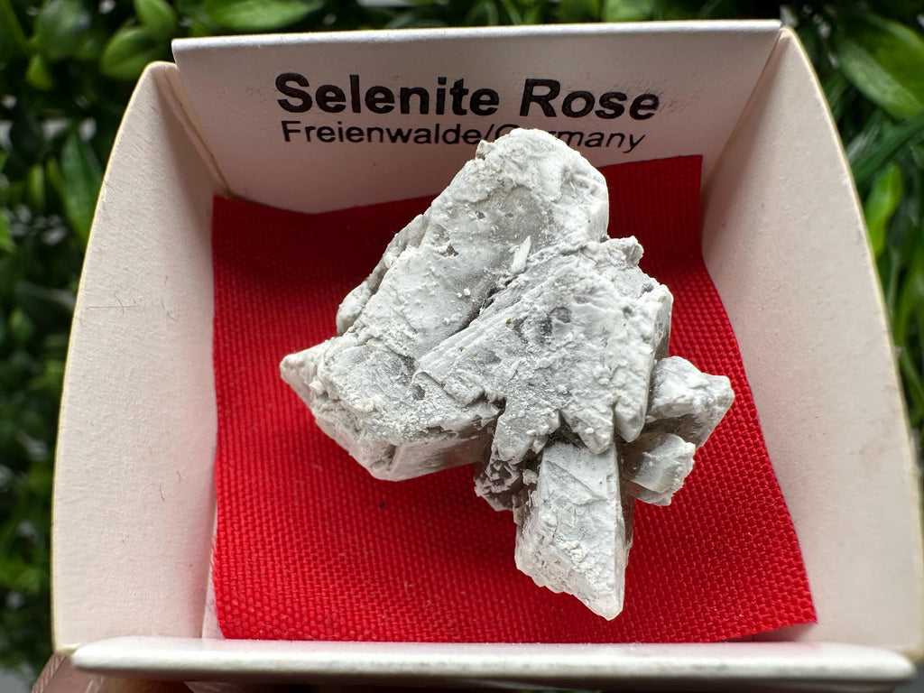 Selenite Rose Freienwalde,Germany natural crystal minerals,specimen,clusters,souvenirs,home decor,gift minerals,rare stone,collection