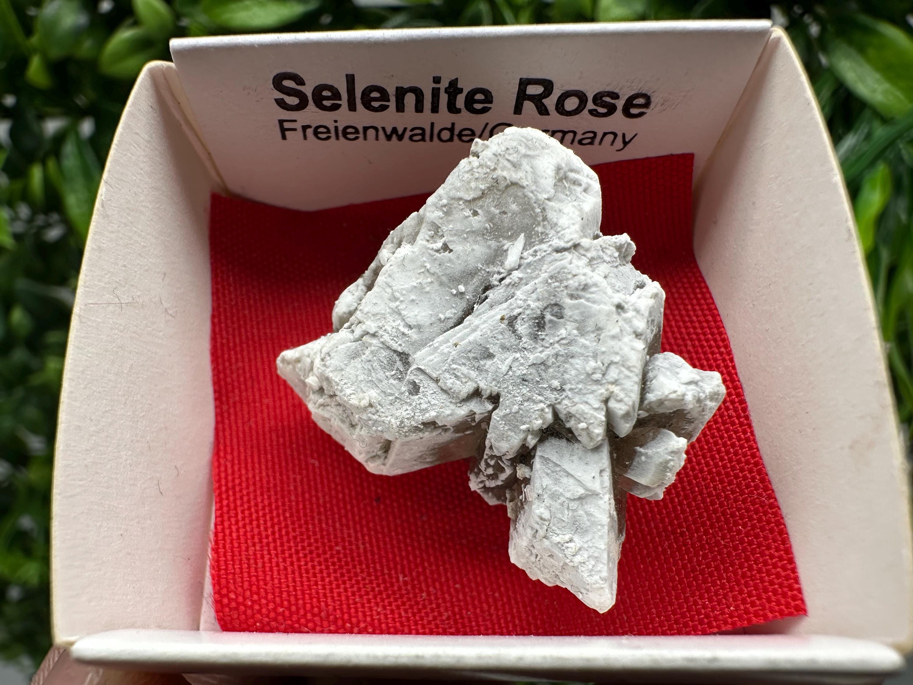 Selenite Rose Freienwalde,Germany natural crystal minerals,specimen,clusters,souvenirs,home decor,gift minerals,rare stone,collection