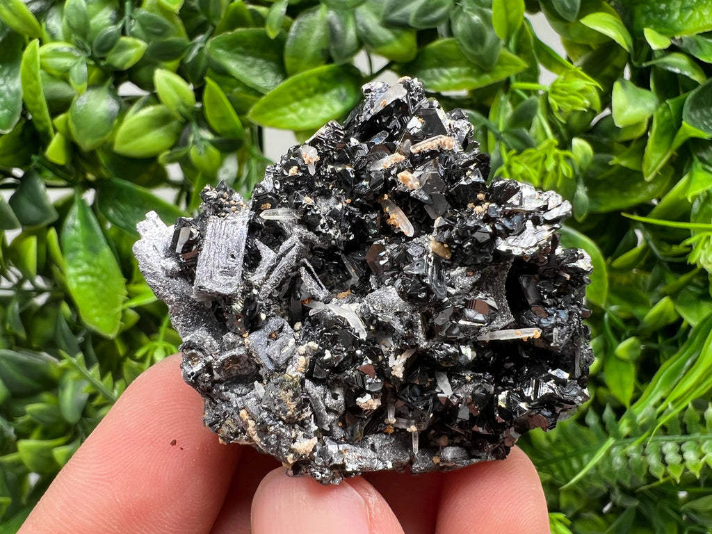Skeletal Galena Sphalerite Mineral Specimen: Madan Bulgaria Collectible