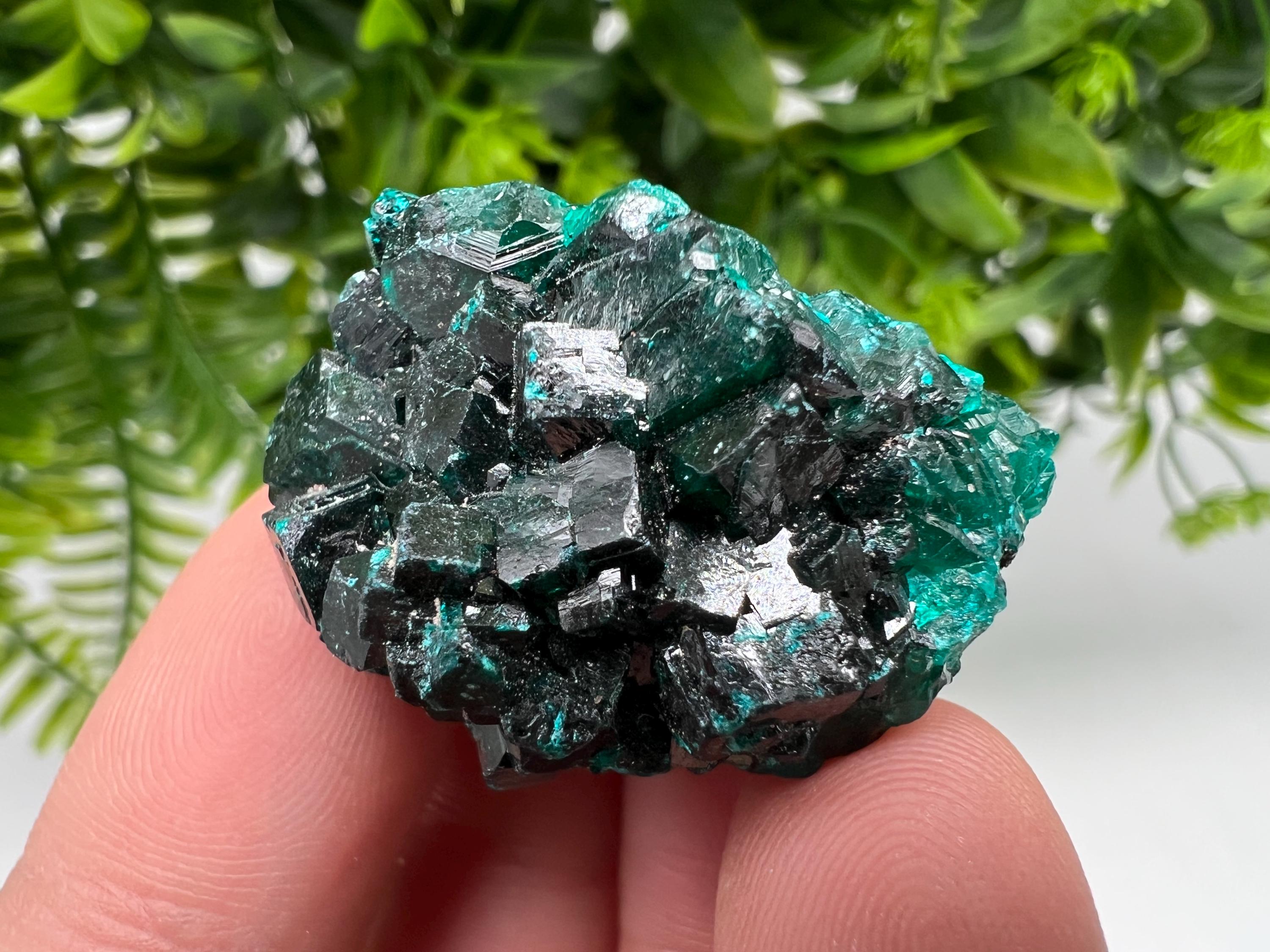 Stunning Green Dioptase from Sanda Hills,Mindouli,Pool Department,Mindouli District,Congo,green Dioptase,Dioptas Crystal,Dioptase collecting