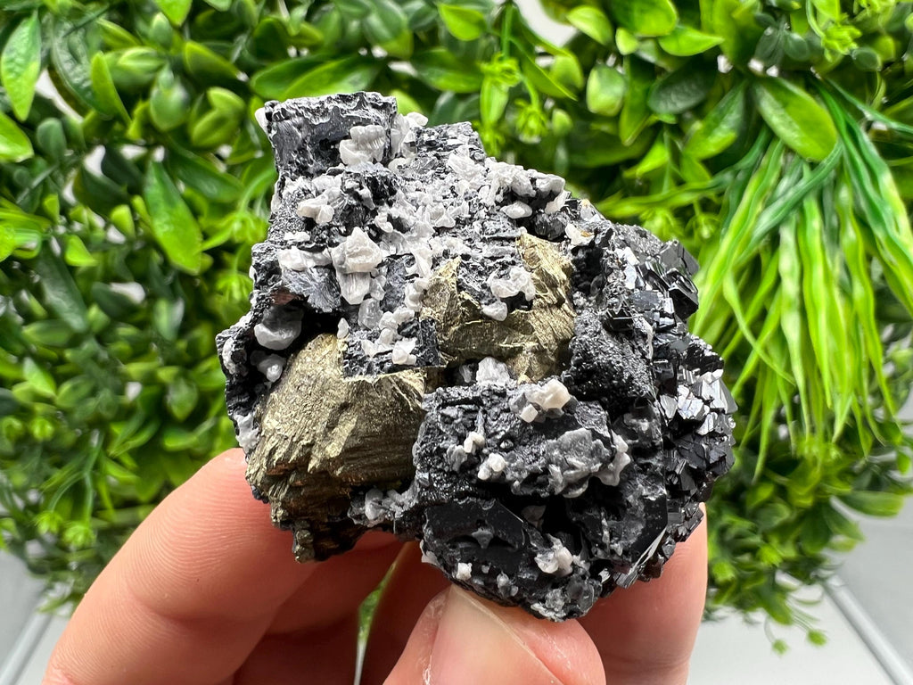 Aesthetic Natural shiny Galena whit Siderite and Quartz from 9 th September mine,Bulgaria,collection specimen,rare galena,Galena cluster