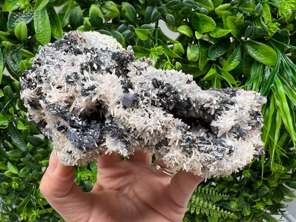 Galena Cluster with Siderite and Quartz, 9th September Mine, Bulgaria