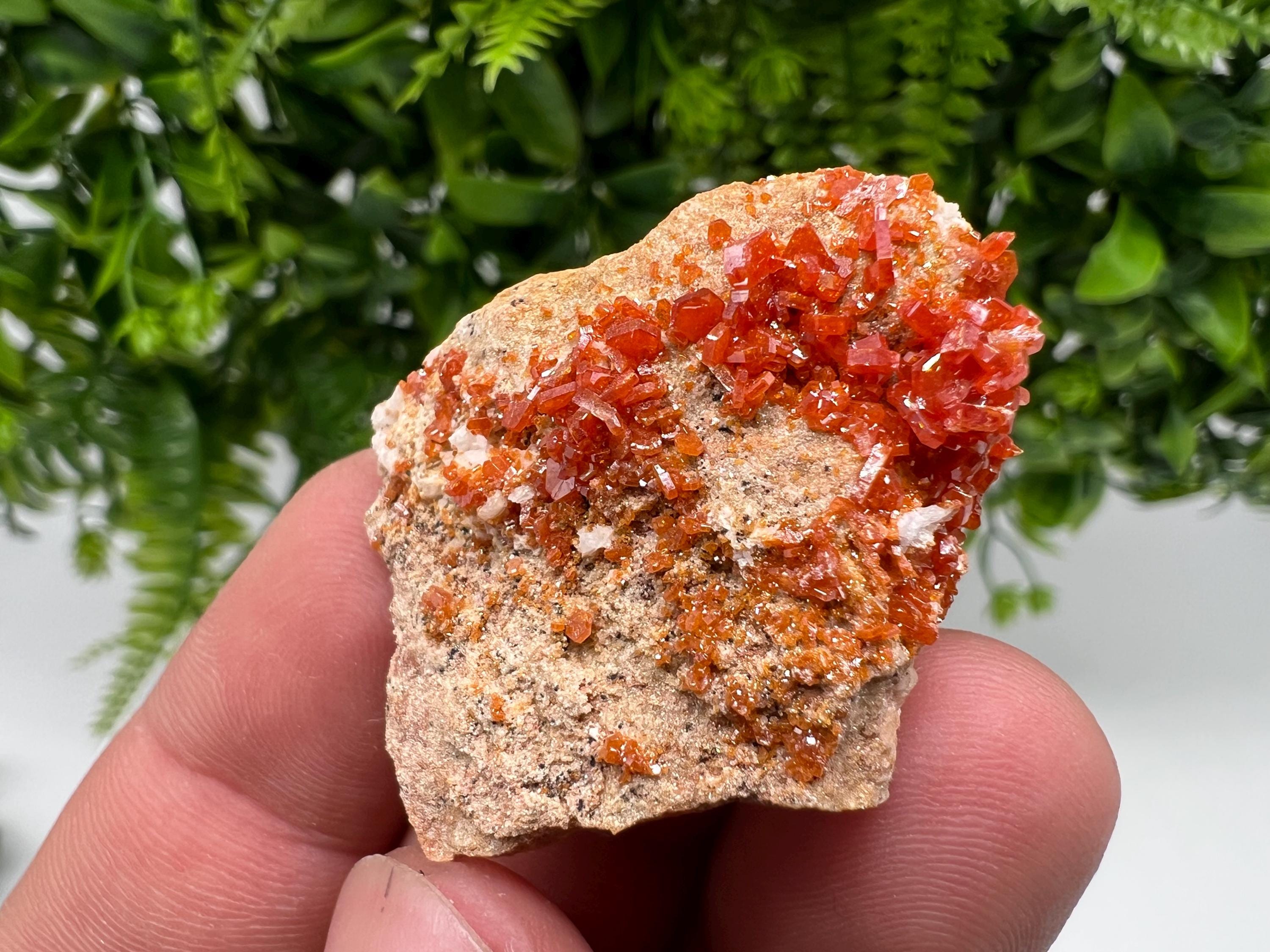 Red Vanadinite on Barite from Marocco,crystal minerals Speciment cluster Vanadinite crystal Vanadinite Geology Vanadinite cluster minerals