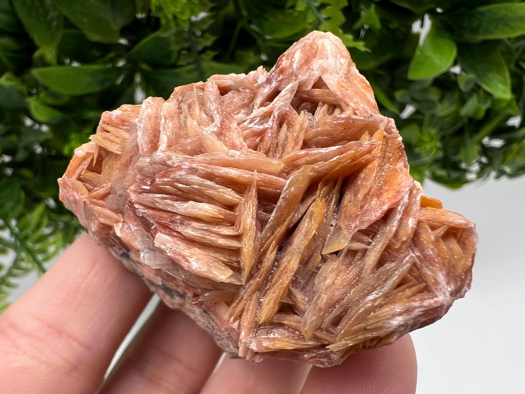 Wonderful Baryte with Cerussite on Galena from Morocco,Crystal, Mineral,Specimen,Cluster,Crystals,Barite Crystal,Cerussite Crystal,Specimen