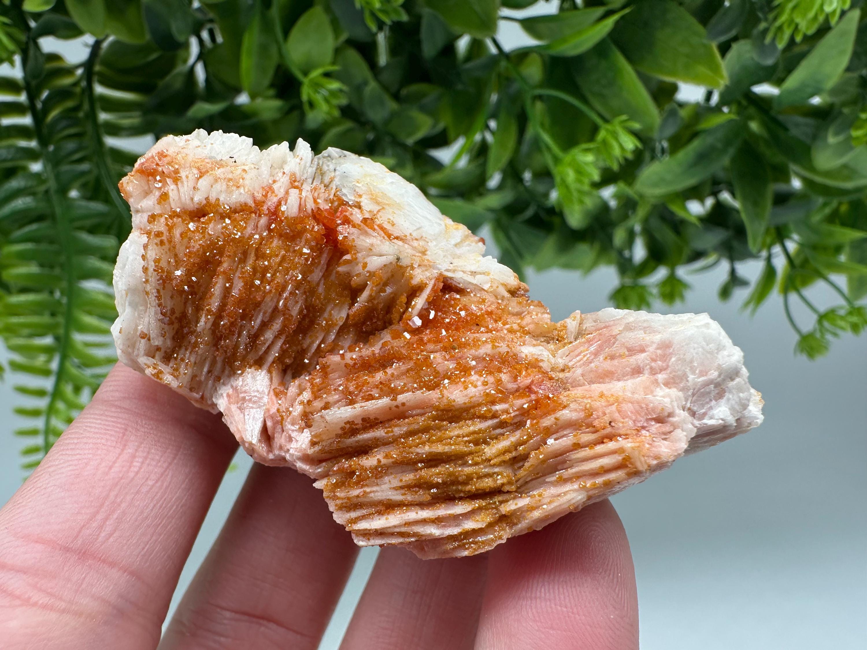 Red Vanadinite on Barite from Marocco,crystal minerals Speciment cluster Vanadinite crystal Vanadinite Geology Vanadinite cluster minerals