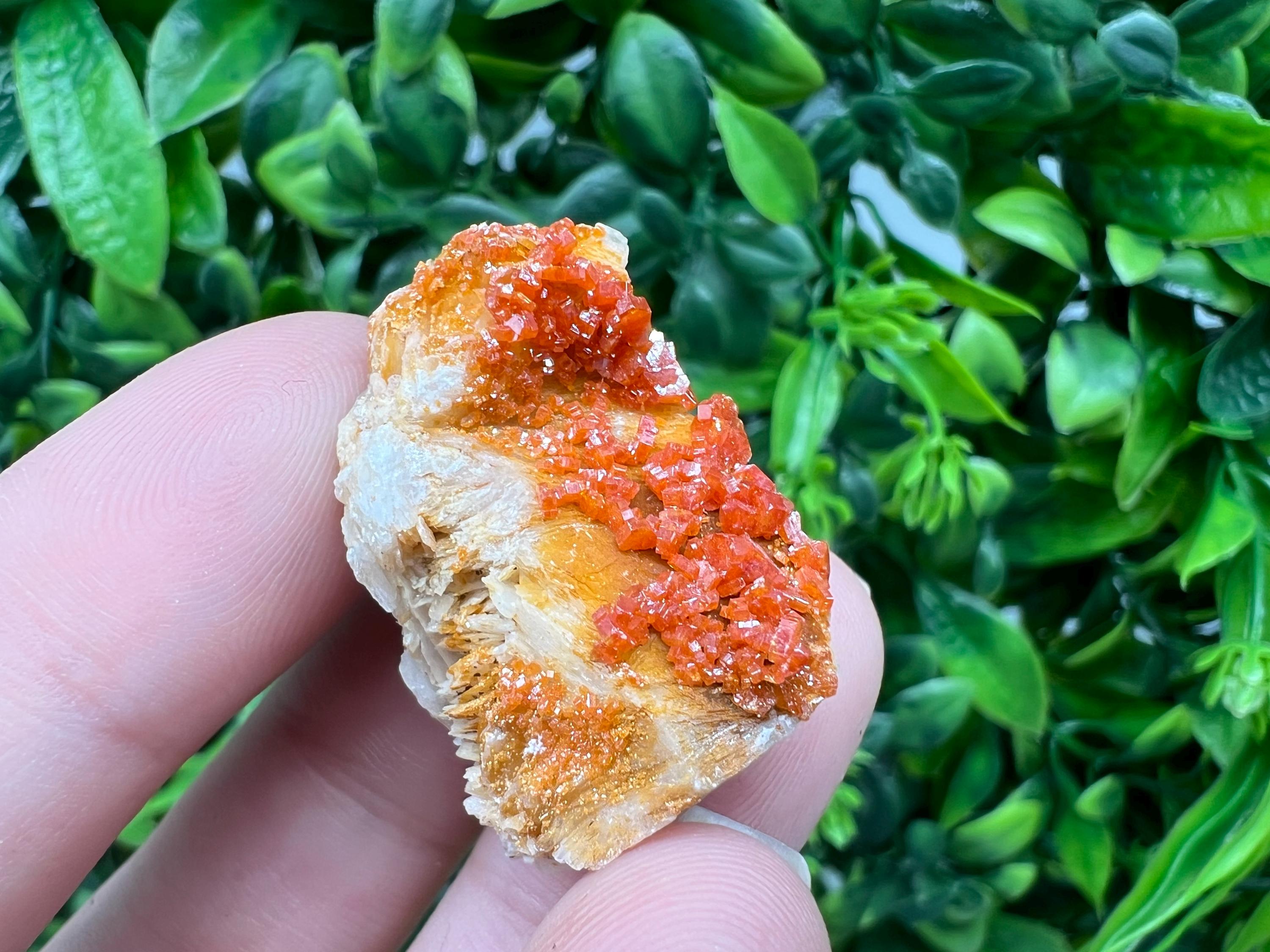 Red Vanadinite on Barite from Marocco,crystal minerals Speciment cluster Vanadinite crystal Vanadinite Geology Vanadinite cluster minerals