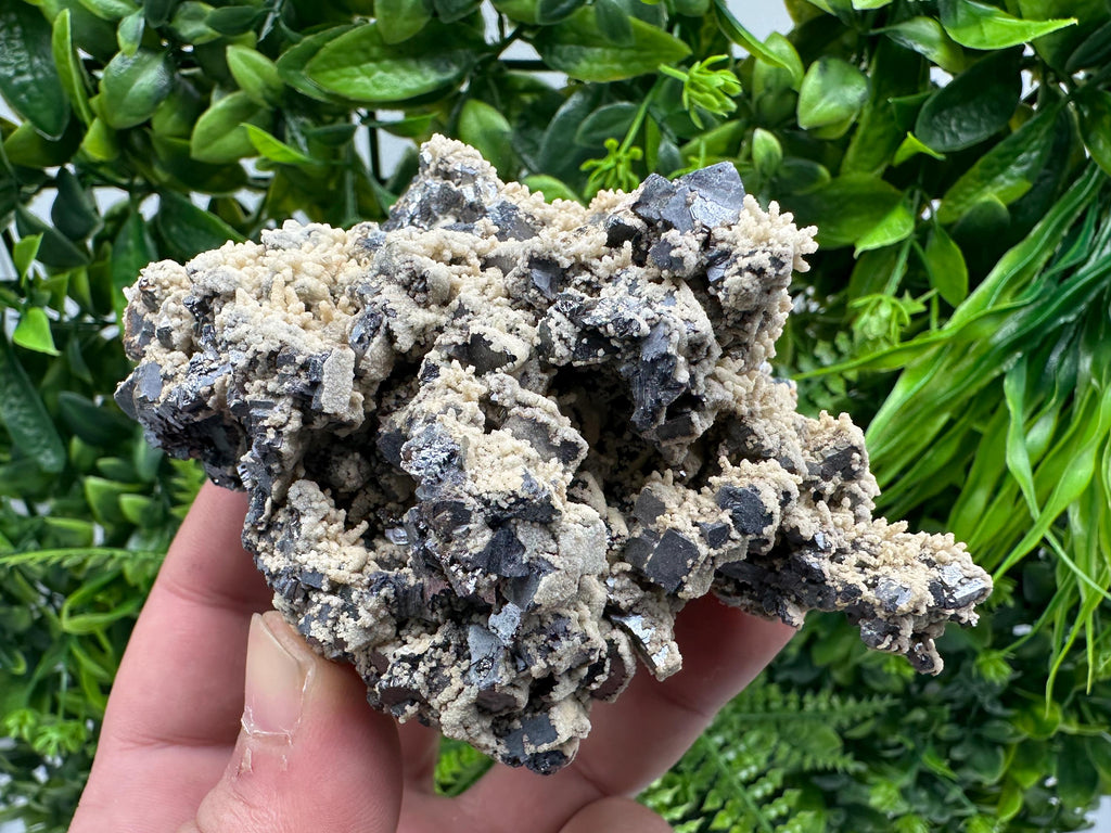 Galena Dolomite Cluster, Krushev dol Bulgaria Mineral Specimen