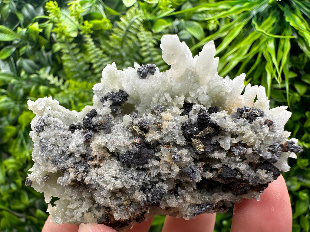 Chalcopyrite on Green Quartz: Madan Bulgaria Crystal Decor