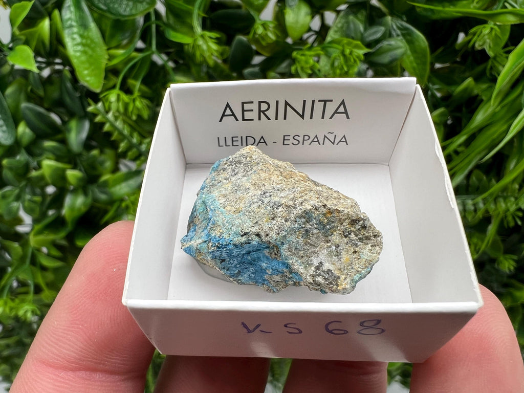 Rare Raw Aerinite Mineral Specimen: Lleida, Spain (3.5/3.5 CM)