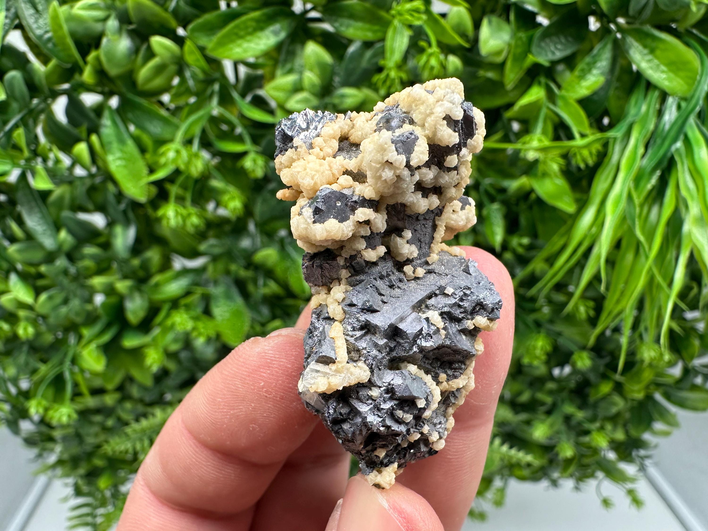 Skeletal Galena with Siderite and Sphalerite: Krushev dol Mine, Bulgaria